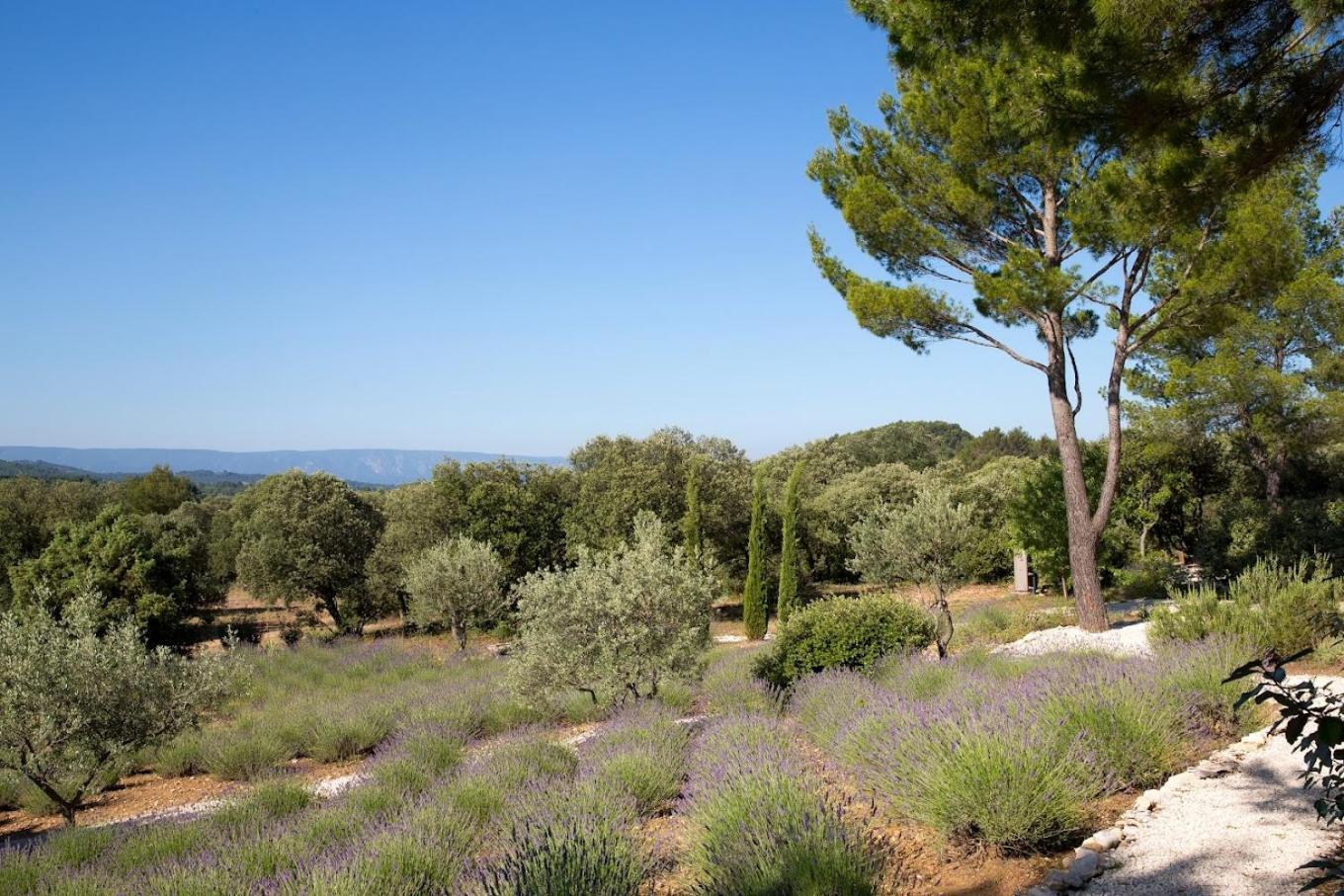La Cle Des Champs, Boutique Hotel & Spa - Le Mas De Garrigon Roussillon  Exterior photo